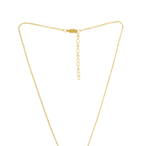 Collana anallergica Cetus